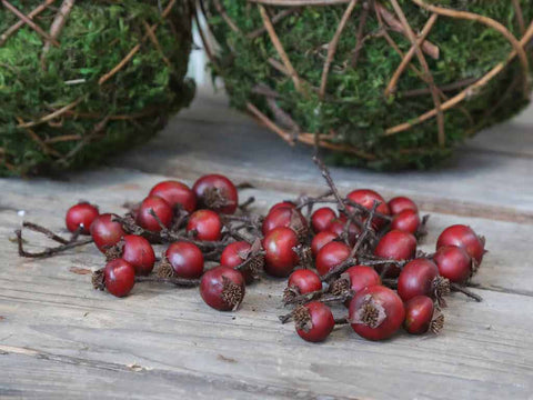 Chic Antique Fleur Rote Beeren, 30 Stück